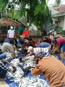 Pemdes Kedung Terima Bantuan Ikan Bandeng Sebanyak 300 Paket