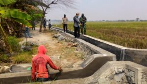 Lurah sawah luhur beserta babinsa dan bhabinkamtibmas blusukan ke sawah