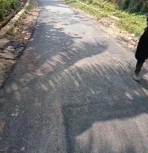 Proyek Pekerjaan Jalan Hot Mix Melalui Aspirasi .DPUPR ,Lebak Terkesan Lemah Pengawasan.