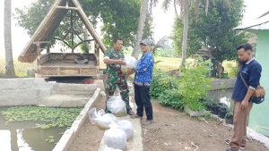 Jaga Ketahanan Pangan, Koramil 0602-14/Pabuaran Tebar 10.000 Bibit Ikan