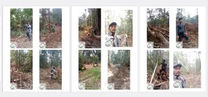 PT. CSS Kalteng Diduga Jarah Hutan dan Kejahatan Illegal Logging