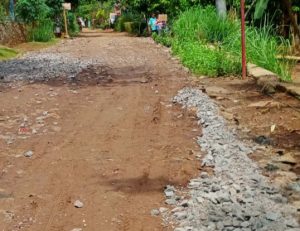 Peningkatan Jalan Hot Mix di Desa Mekarsari Diduga Tak Sesuai Spek