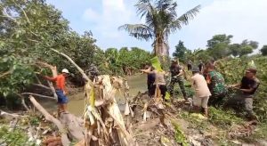Koramil 0602-16/Ciruas Bersihkan Sampah dan Pohon Tumbang di Sungai