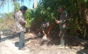 Cegah Bencana Alam, Koramil 0602-02/Kasemen Karbak Penanaman Pohon