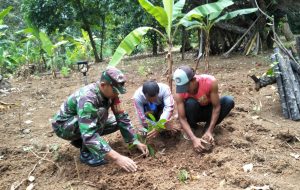 Peduli Lingkungan Alam, Babinsa Koramil 0602-12/Ciomas Adakan Penghijauan