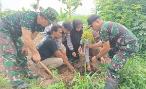 Jaga Kelestarian Alam, Danramil 0602-05/Cipocok Jaya (Akan) Terus Adakan Penghijauan