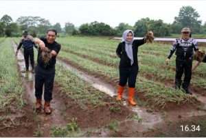 Pj. Ketua TP-PKK Banten Gencarkan Pemanfaatan Lahan Pekarangan