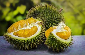 Jenis Durian Terpopuler dan Digemari