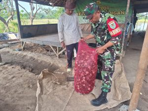 Obat Pembasmi Hama Burung Cangkang Jengko, lnovasi Babinsa Kodim 0602/Serang