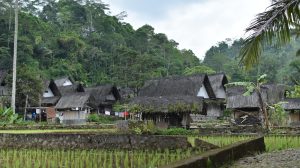 Tandatangani Lukisan Sampul Buku Menteri AHY : “Terus Perjuangkan Hak dan Kesejahteraan Masyarakat Adat”
