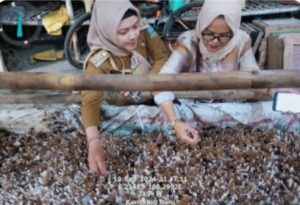 Kunjungi Pengrajin Jamur dan Gula Aren, Camat Pamarayan dan Kades Binong Dampingi Tim Riset Jakarta