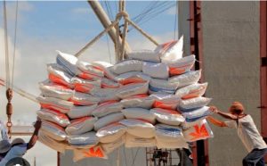 Medio Desember 2024, Indonesia Bakal Diguyur 340 Ribu Ton Beras Impor