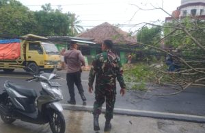 Bersama Warga, Babinsa Koramil 0602-15/Baros dan Bhabinkamtibmas Sinergi Evakuasi Pohon Tumbang