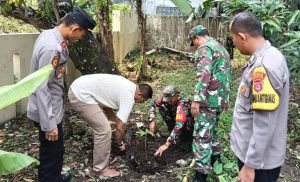 Sukseskan Program Ketapang, Koramil 0602-12/Ciomas Tanam Pohon Sukun
