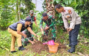 Perkuat Ketapang, Koramil 0602-07/Waringin Kurung Gandeng Pemda dan Polsek Tanam Pohon Sukun 