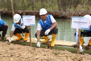 Hari Menanam Pohon Indonesia 2024, Komitmen Hijau PT PLN IP UBP Banten 3 Lontar dan PLN EPI