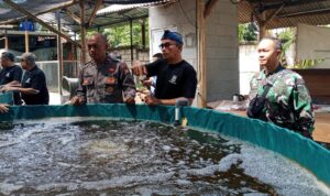 Babinsa Koramil 0602-06/Kramatwatu dan Pemdes Margatani Dorong Kemandirian Petani Melalui Pelatihan Budidaya