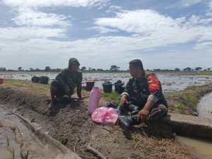Dukungan TNI untuk Tingkatkan Ketahanan Pangan