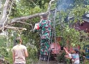 Arus Lalin Jalan Terganggu, Warga dan Babinsa Koramil 0602-17/Carenang Evakuasi Pohon Tumbang