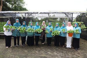 Pj. Ketua TP-PKK Banten Irmawaty Habie Damenta Ajak Maksimalkan Manfaat Pekarangan Rumah