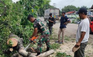 Babinsa Koramil 0602-06/Kramatwatu dan Warga Bersihkan Pohon Tumbang