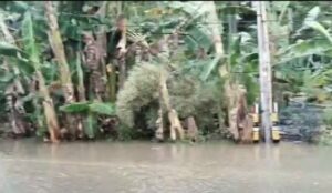 Jalan Destinasi Wisata Jambu Cinangka Jadi Langganan Banjir