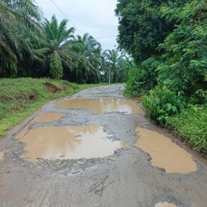 Jalan Rangkasbitung Arah Muncang Rusak Parah