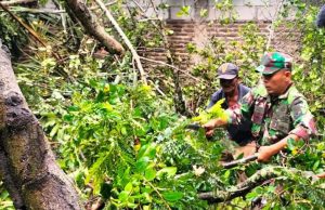 Babinsa Koramil 0602-20/Pamarayan Bersama Warga Atasi Pohon Tumbang Akibat Cuaca Ekstrem