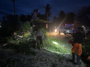 Cinangka Dilanda Hujan Lebat Disertai Angin Kencang