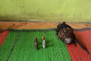 TNI Amankan Granat Aktif dan Amunisi dari Keluarga Veteran di Banten