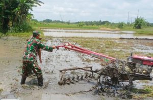 Babinsa Koramil 0602-18/Kragilan: Dampingi Petani Tingkatkan Produktivitas