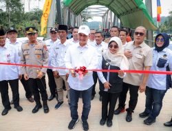 Dukung Perekonomian Masyarakat, Wagub Banten Resmikan Jembatan Desa Tegal Kabupaten Pandeglang