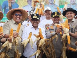 Intensifikasi Lahan, Gubernur Banten Andra Soni : “Untuk Menuju Swasembada Pangan”