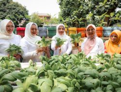 Serahkan Penghargaan Perempuan Inspiratif 2025, Ketua TP-PKK Banten : “Untuk Memotivasi Perempuan Inspiratif Selanjutnya”