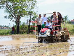 Kolaborasi Forkopimda Kuat, Gubernur Banten Optimis Provinsi Banten Swasembada Pangan