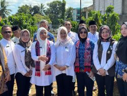 Di Kabupaten Tangerang, Ketua Tim Pembina Posyandu Banten Tinjau Pelayanan 6 SPM