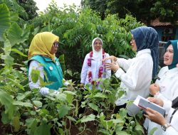 Ketua TP Posyandu Banten Gencarkan Transformasi New Posyandu di Tangsel