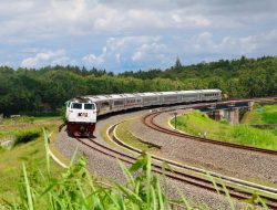 Lintas Kereta Api di Kabupaten Kulonprogo Sajikan Panorama Indah