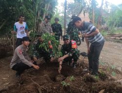 Tanam Pohon, Program Dansatgas TMMD Ke-124 Kodim 0602/Serang