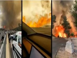 Kebakaran Besar Landa Israel, Publik Arab Senang