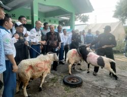 FIKS Peduli, Salurkan Hewan Qurban untuk Warga Kelurahan Gunung Sugih