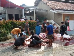 Warga Rau Timur Gelar Pemotongan Hewan Qurban Idul Adha 