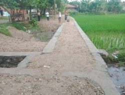 Penggunaan ADD TA 2025 Desa Kemuning Fokus Bangun Sarpras dan Pemberdayaan Masyarakat