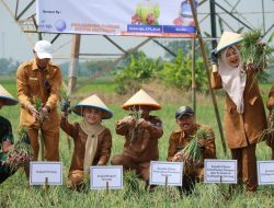 Bupati Ratu Zakiyah Launching Program Ratu Tani