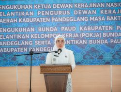 Ketua Dekranasda Banten Hadiri Pelantikan Dekranasda dan Pokja Bunda PAUD serta GOW Kabupaten Pandeglang