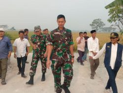 Dukung Swasembada Pangan, Dandim 0602/Serang Tinjau Lahan Pertanian
