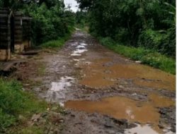 Akses Jalan di Desa Damping Rusak Parah, Warga Berharap Perbaikan