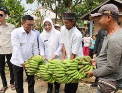 Gubernur Banten Andra Soni Tinjau Pelaksanaan Program Bang Andra di Desa Sindang Mulya, Lebak