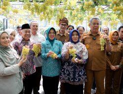 Ketua TP PKK Banten Ikuti Panen Anggur Ponjay Bendav Kota Tangerang Selatan