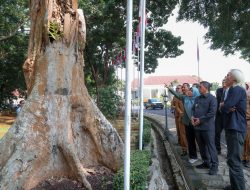 Gubernur Banten Diskusikan Pemeriksaan Pohon dan Konservasi Pohon Bersama Tim IPB